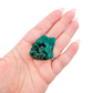 Hand holding the round thumbnail to show how small a 0.81 inch collector dioptase is