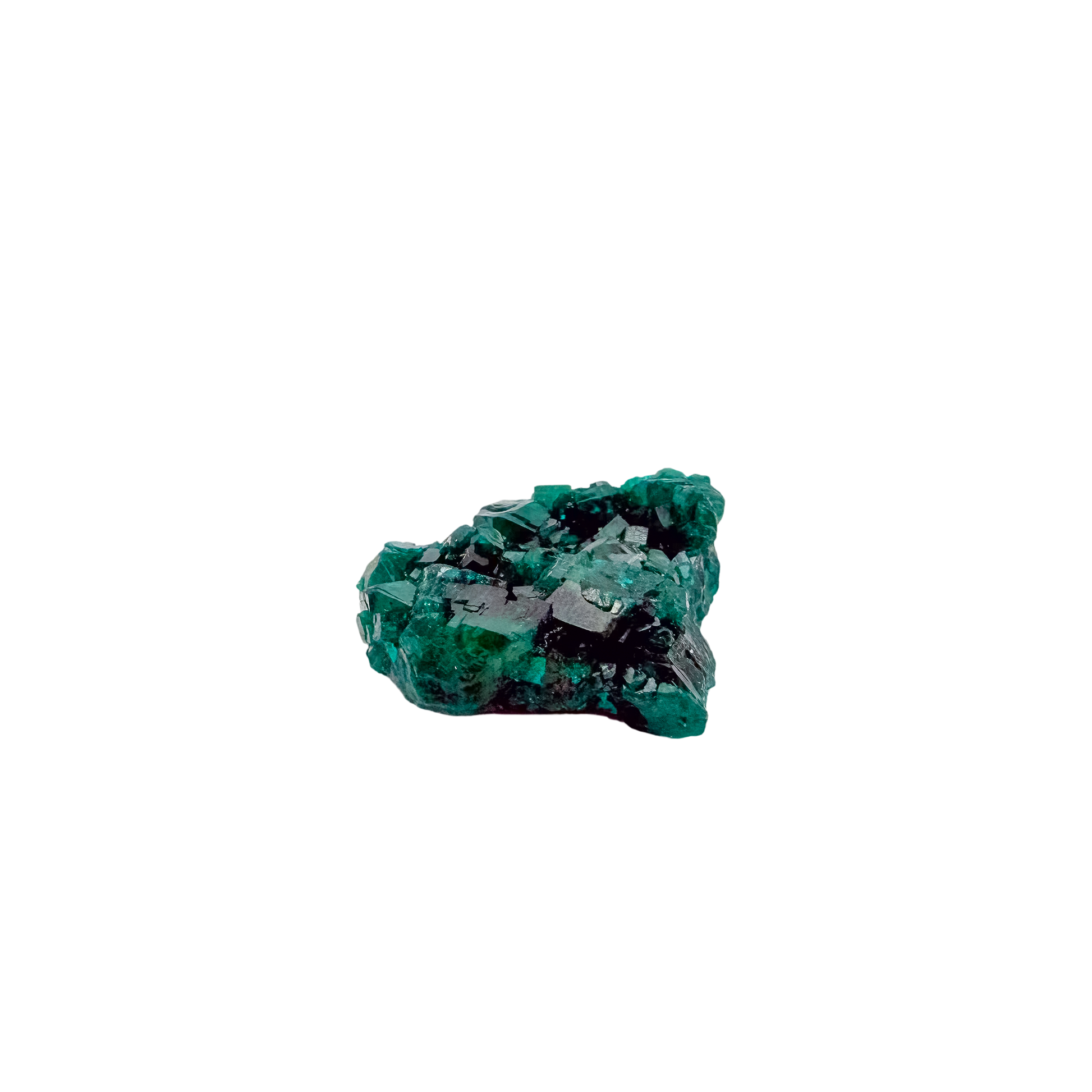 Fine dioptase druzy on the thin flat chip, 0.64 inches of coverage