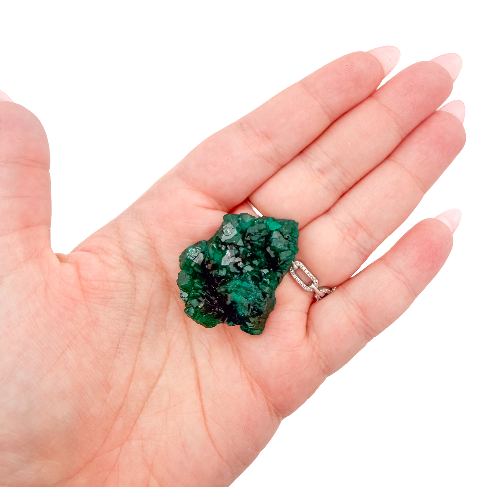 Scale shot of the thin flat chip, 5.1 g of Congolese dioptase cupped in a hand