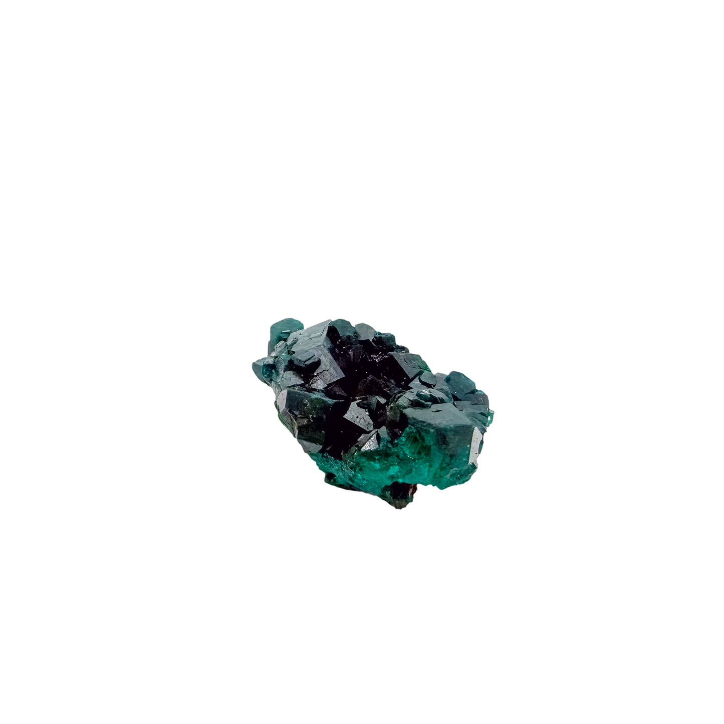 Emerald-green dioptase crystals crusting a 0.68 inch matrix, the tiny cube from Renéville Congo