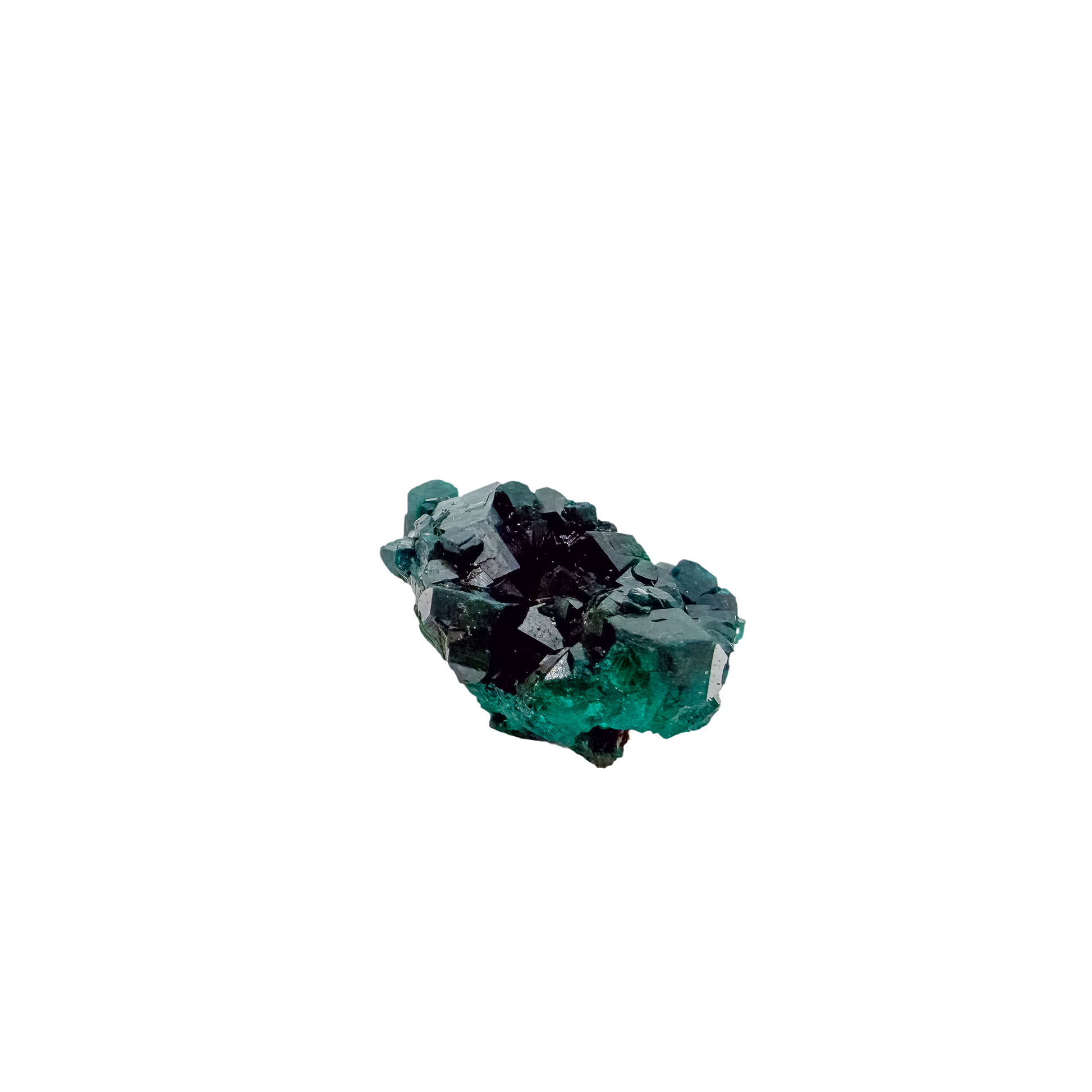 Emerald-green dioptase crystals crusting a 0.68 inch matrix, the tiny cube from Renéville Congo