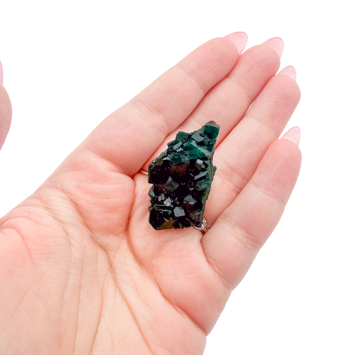 The tiny cube held in a hand, showing the true scale of this 0.68 inch dioptase