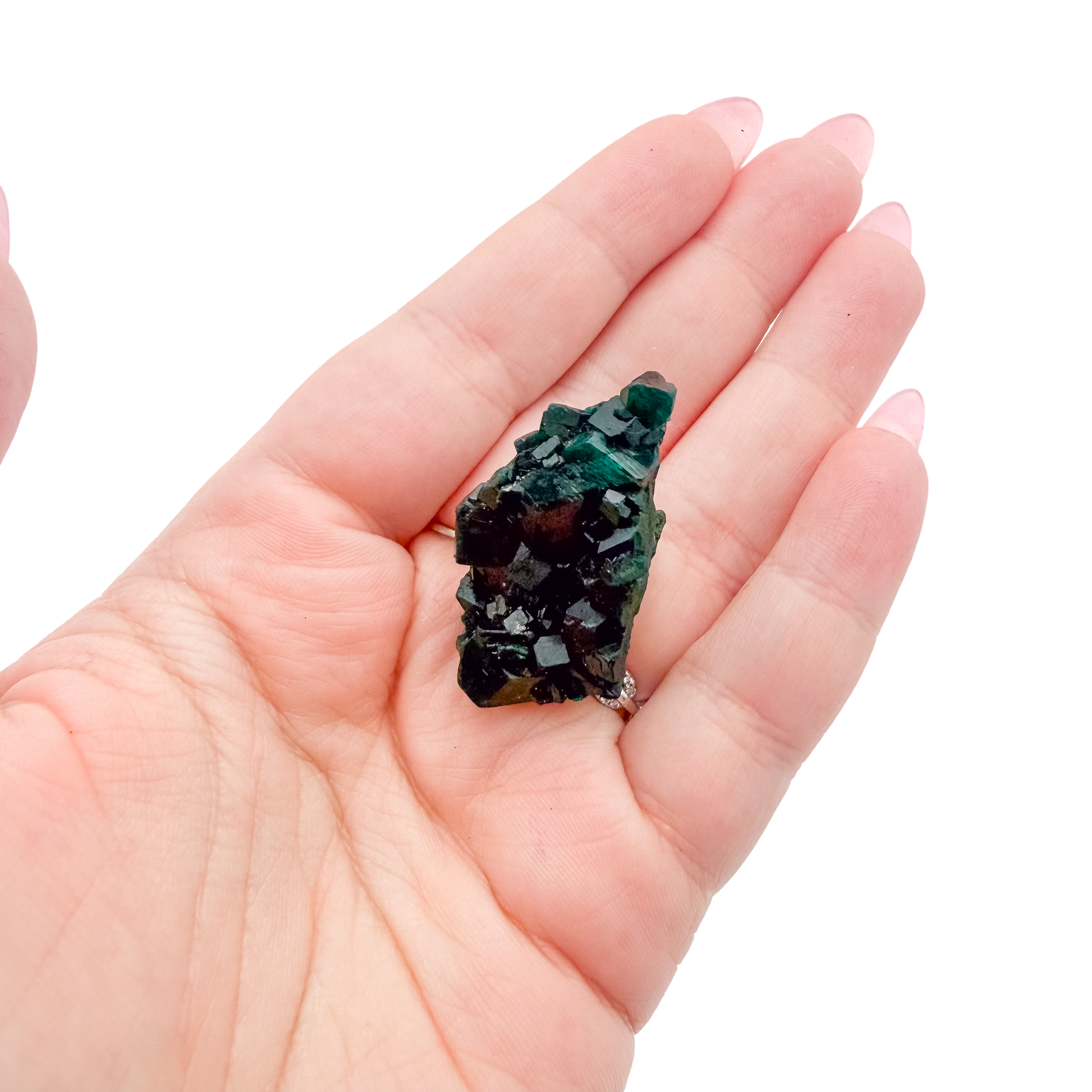 The tiny cube held in a hand, showing the true scale of this 0.68 inch dioptase