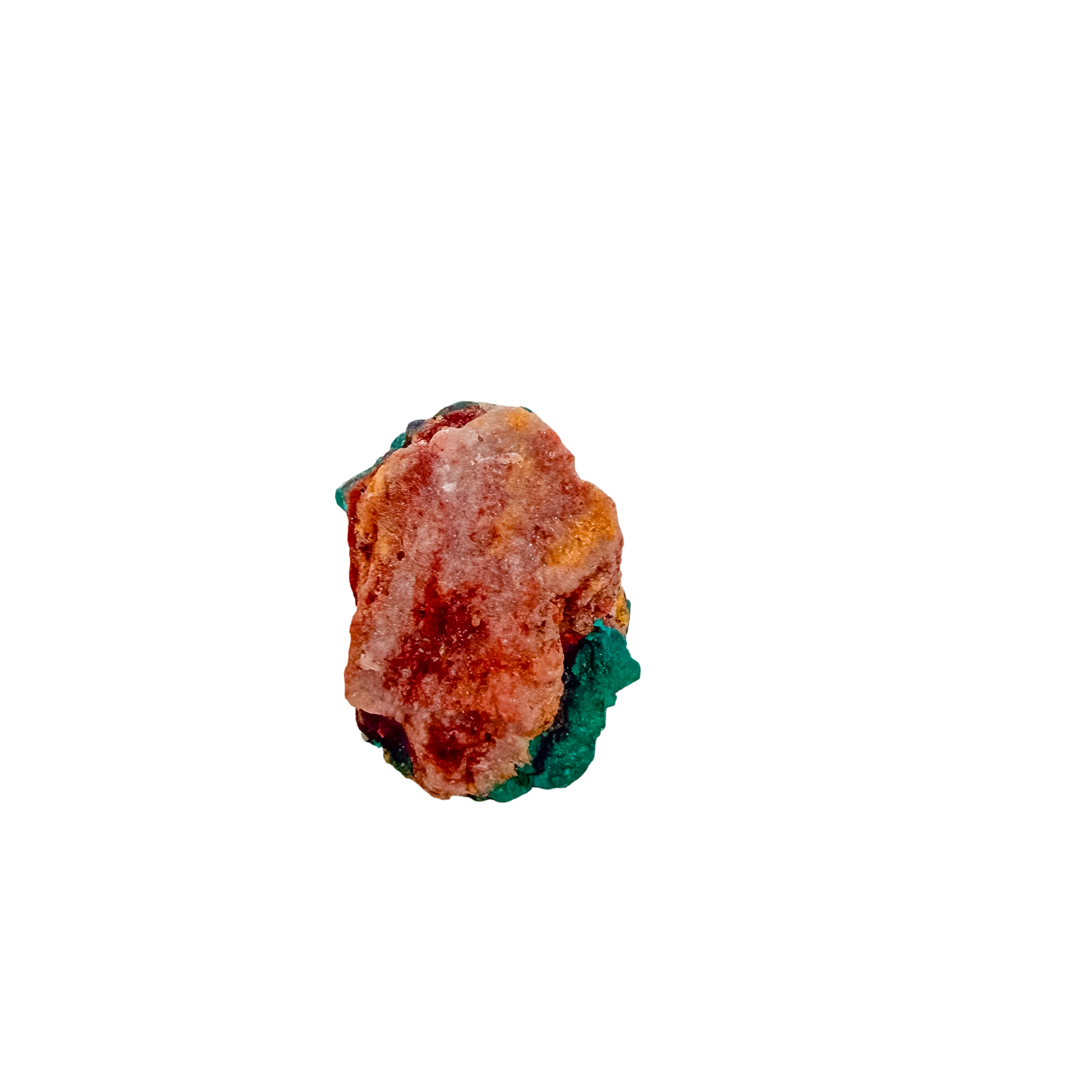 Back face of the delicate sliver, mostly unmineralized matrix, 0.89 inches