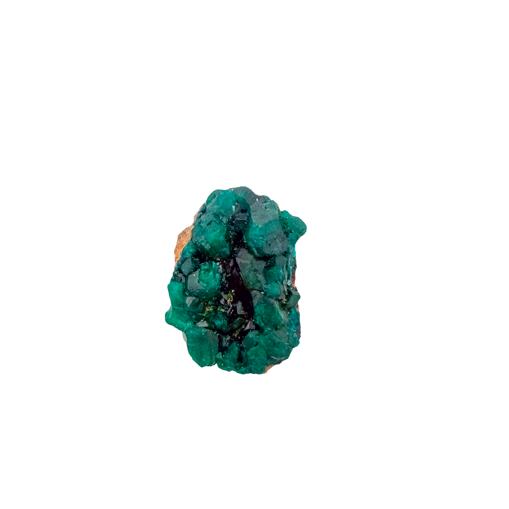 Alternate angle on the delicate sliver, a 0.89 inch Renéville dioptase