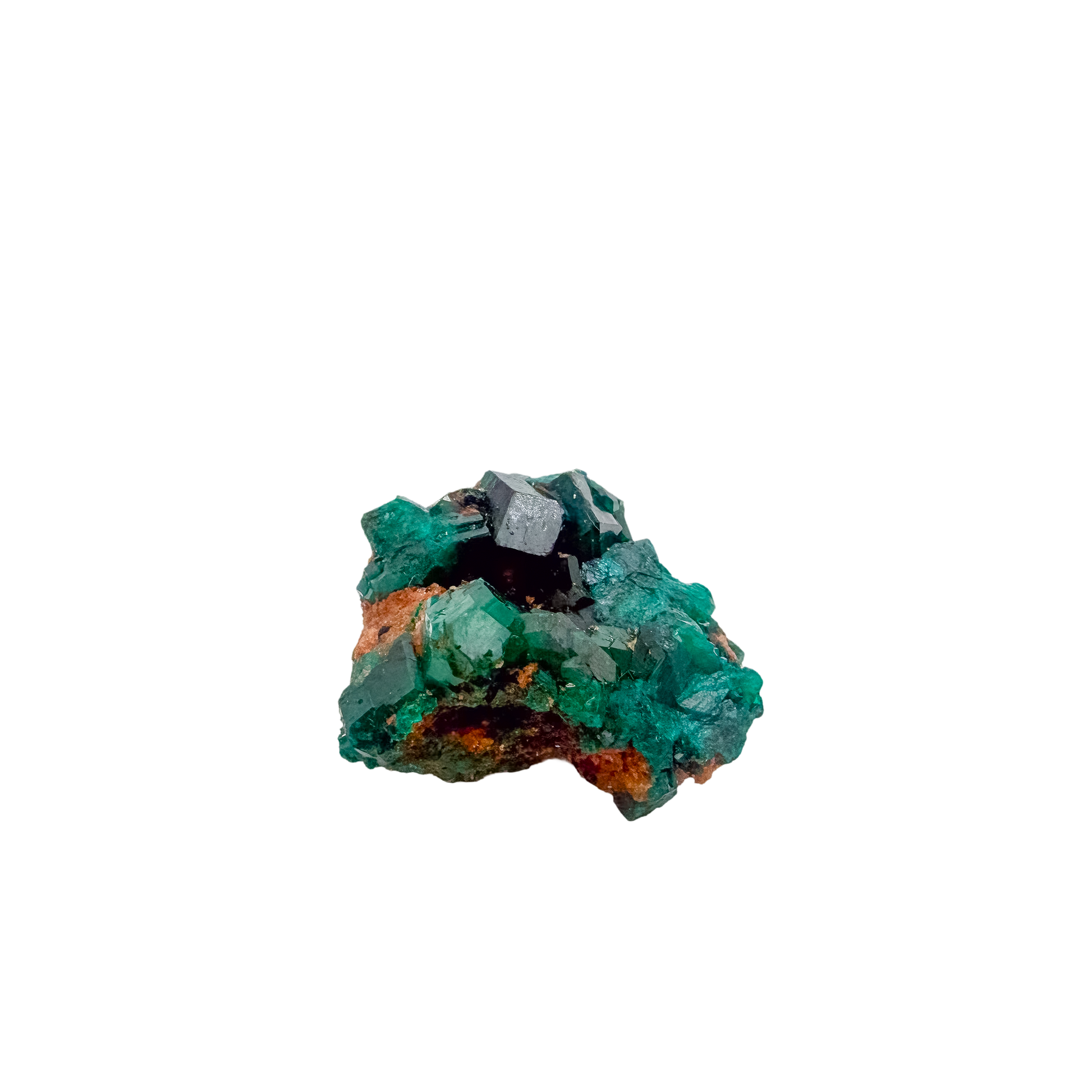 Dioptase specimen of 7.5 g from Renéville, its bright slim piece shown on white