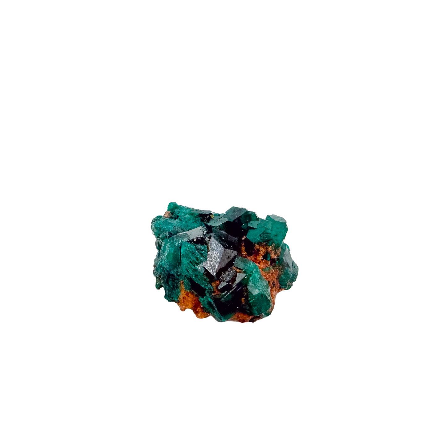 Fine dioptase druzy on the bright slim piece, 0.68 inches of coverage