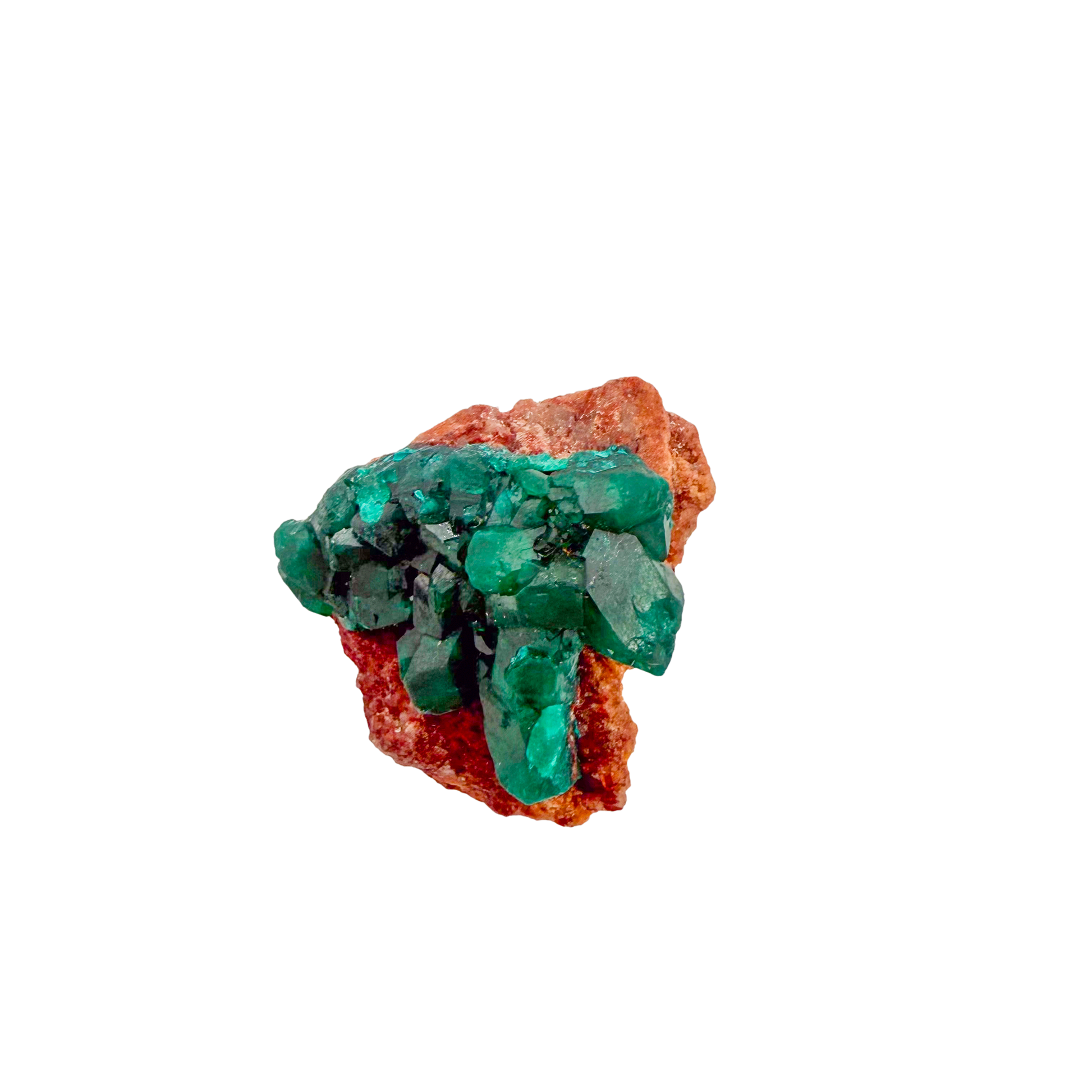 Raw dioptase crystal specimen from the Republic of the Congo, deep emerald-green druzy on matrix, specimen 10, view 1