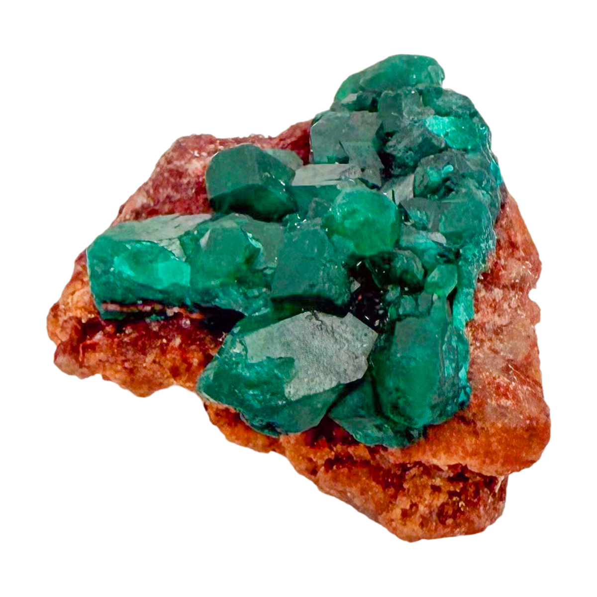 Raw dioptase crystal specimen from the Republic of the Congo, deep emerald-green druzy on matrix, specimen 10, view 2