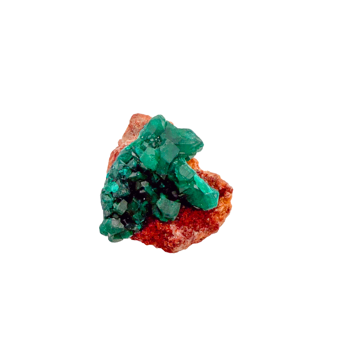 Raw dioptase crystal specimen from the Republic of the Congo, deep emerald-green druzy on matrix, specimen 10, view 5