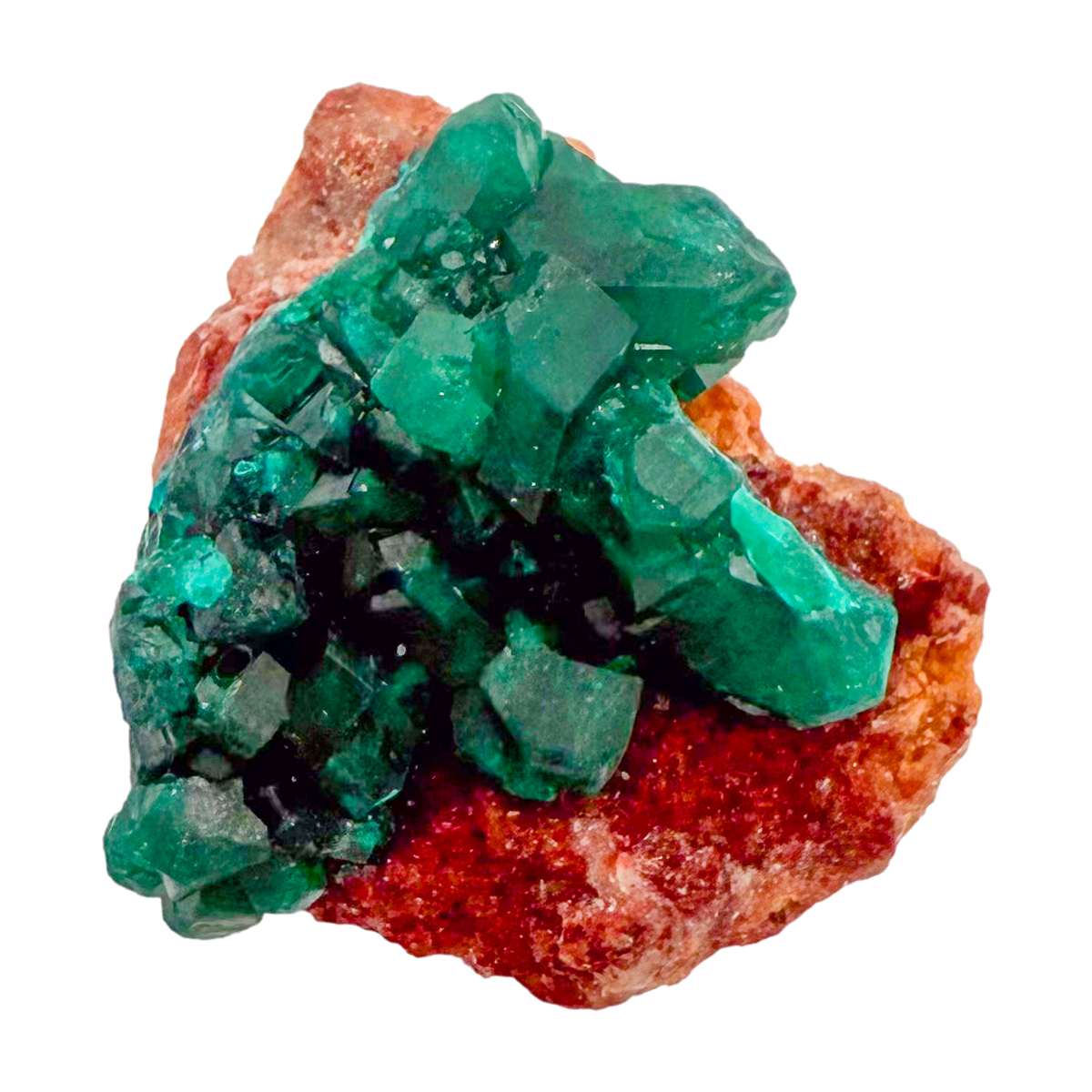 Raw dioptase crystal specimen from the Republic of the Congo, deep emerald-green druzy on matrix, specimen 10, view 5