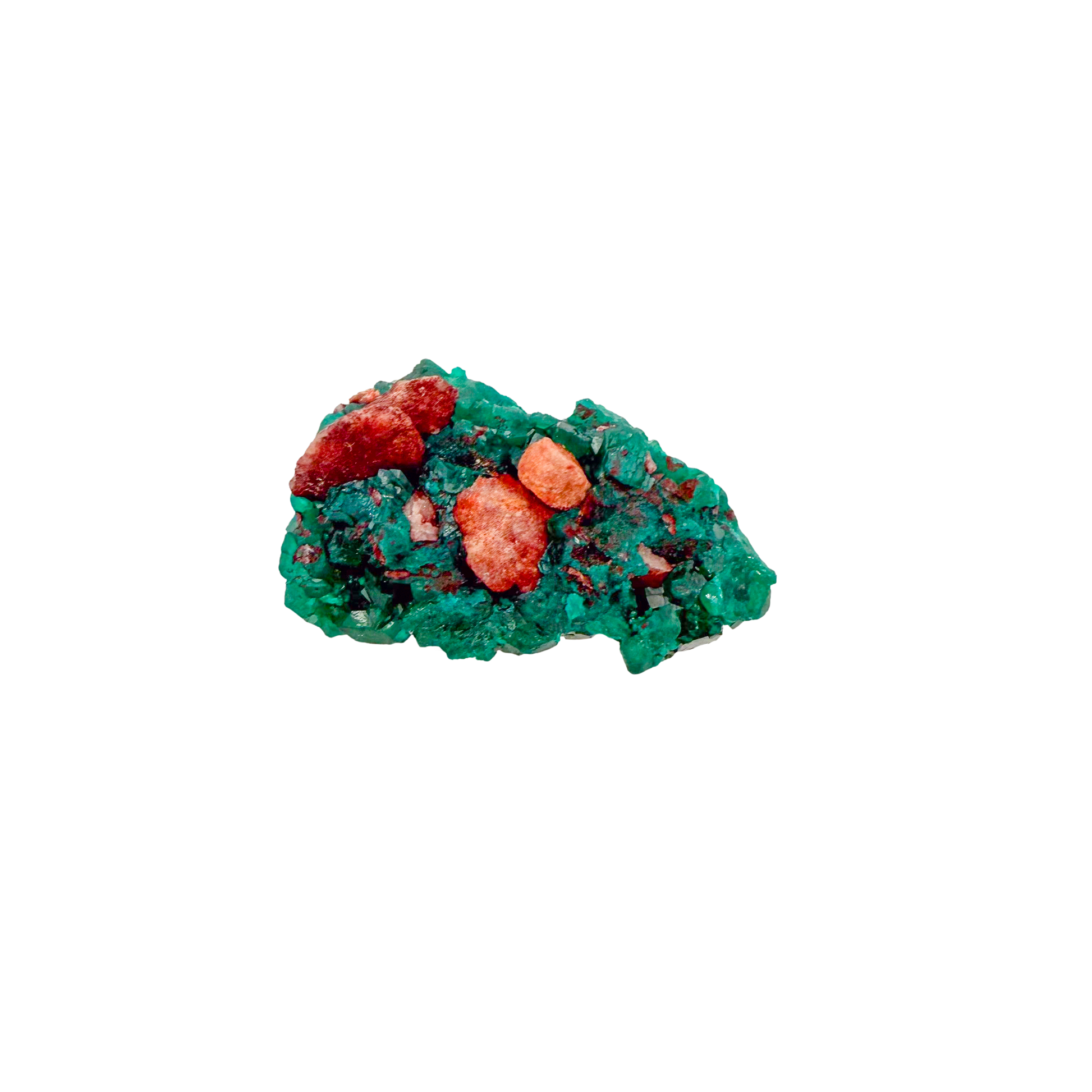 Raw dioptase crystal specimen from the Republic of the Congo, deep emerald-green druzy on matrix, specimen 11, view 1