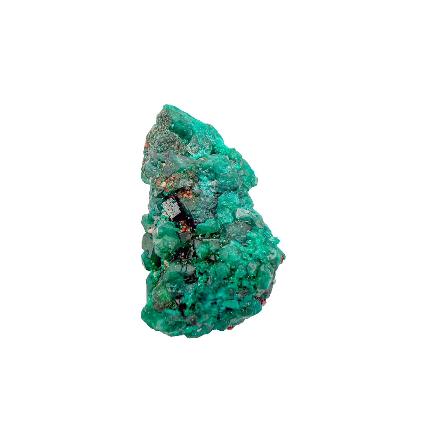 Raw dioptase crystal specimen from the Republic of the Congo, deep emerald-green druzy on matrix, specimen 11, view 5