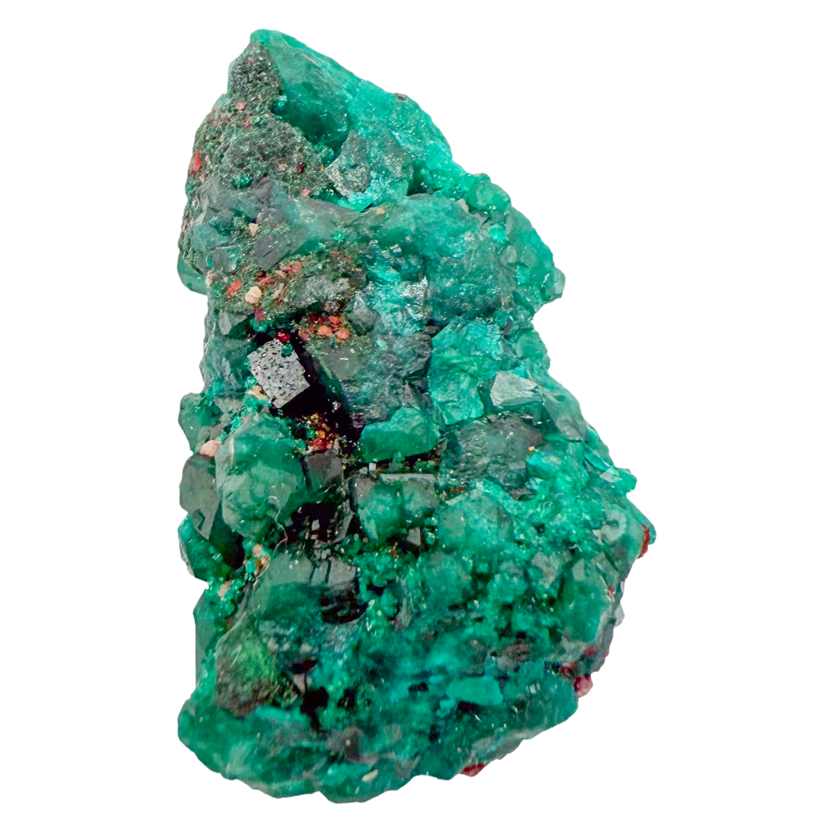 Raw dioptase crystal specimen from the Republic of the Congo, deep emerald-green druzy on matrix, specimen 11, view 5