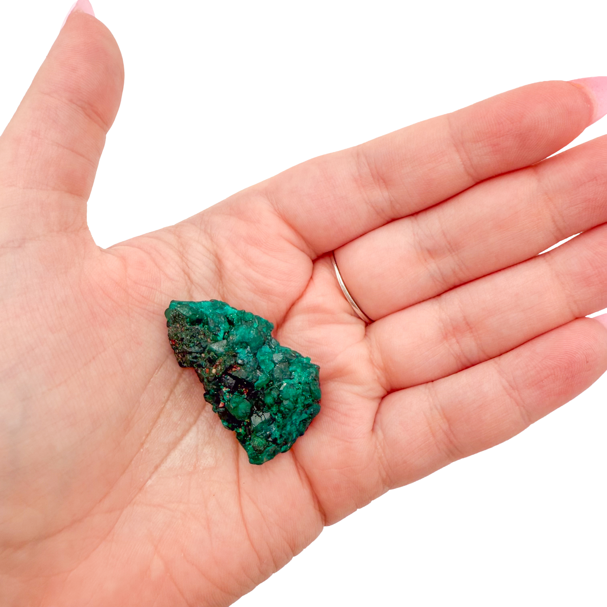 Dioptase crystal specimen from the Republic of the Congo held in hand for scale, deep emerald-green druzy, specimen 11