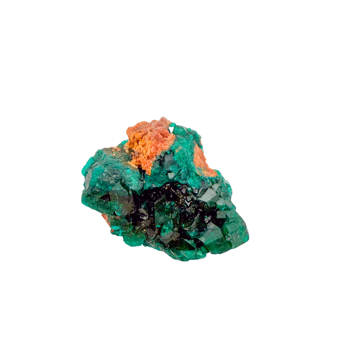 Raw dioptase crystal specimen from the Republic of the Congo, deep emerald-green druzy on matrix, specimen 13, view 4