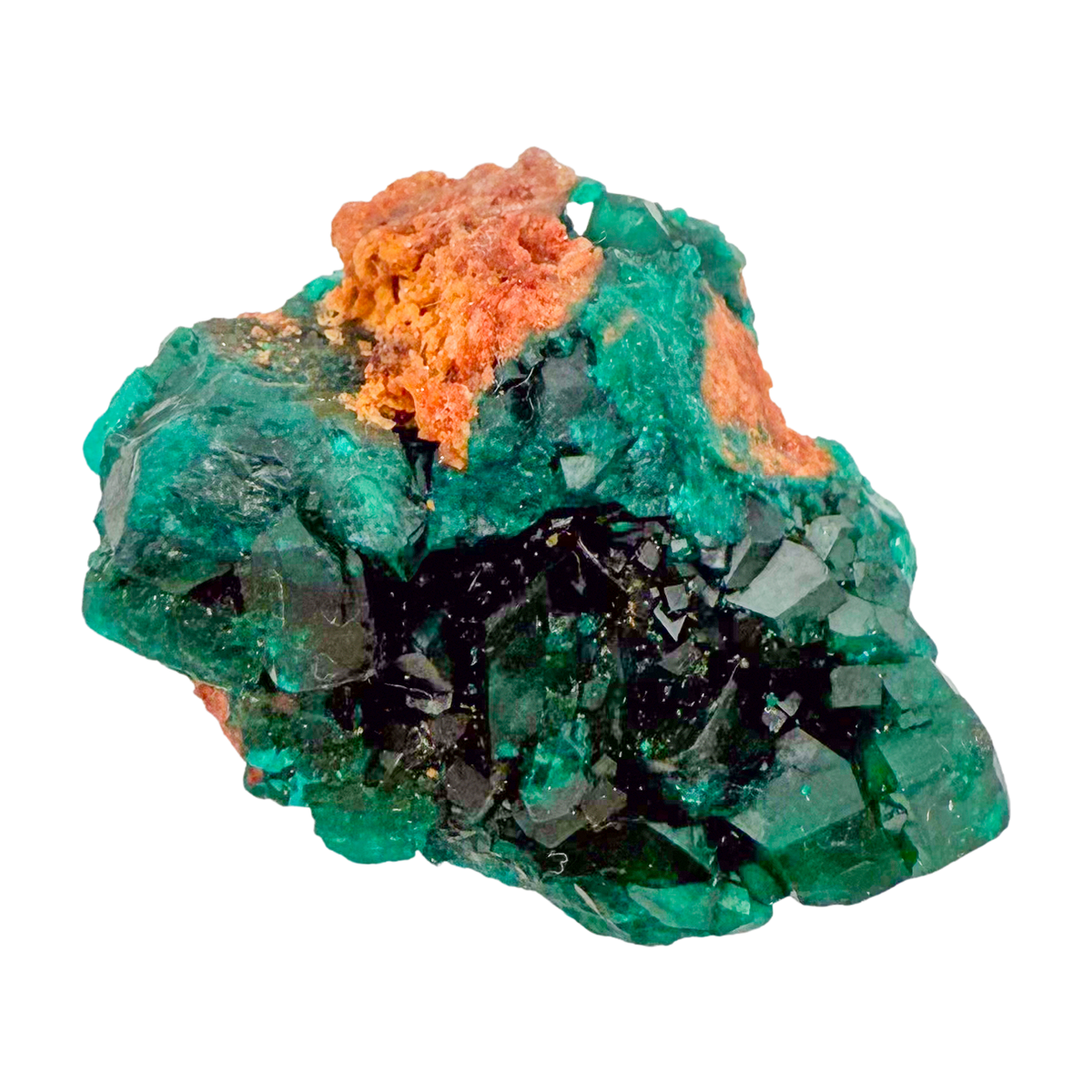 Raw dioptase crystal specimen from the Republic of the Congo, deep emerald-green druzy on matrix, specimen 13, view 4