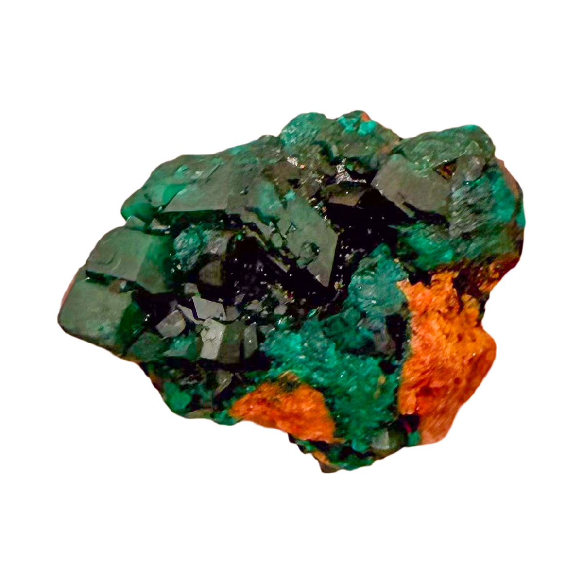Raw dioptase crystal specimen from the Republic of the Congo, deep emerald-green druzy on matrix, specimen 13, view 6