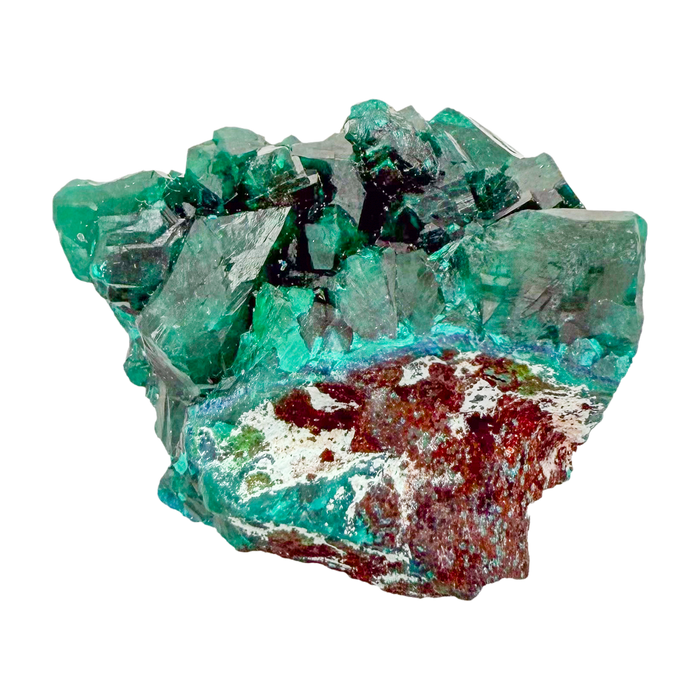 Raw dioptase crystal specimen from the Republic of the Congo, deep emerald-green druzy on matrix, specimen 15, view 2