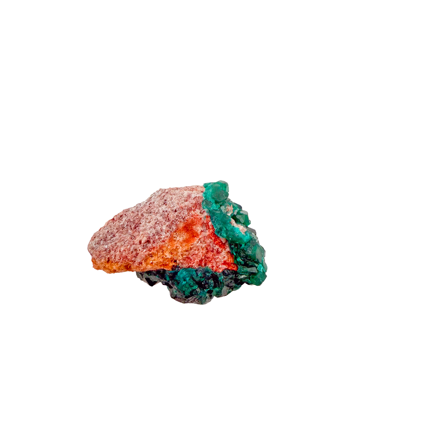 Raw dioptase crystal specimen from the Republic of the Congo, deep emerald-green druzy on matrix, specimen 17, view 4