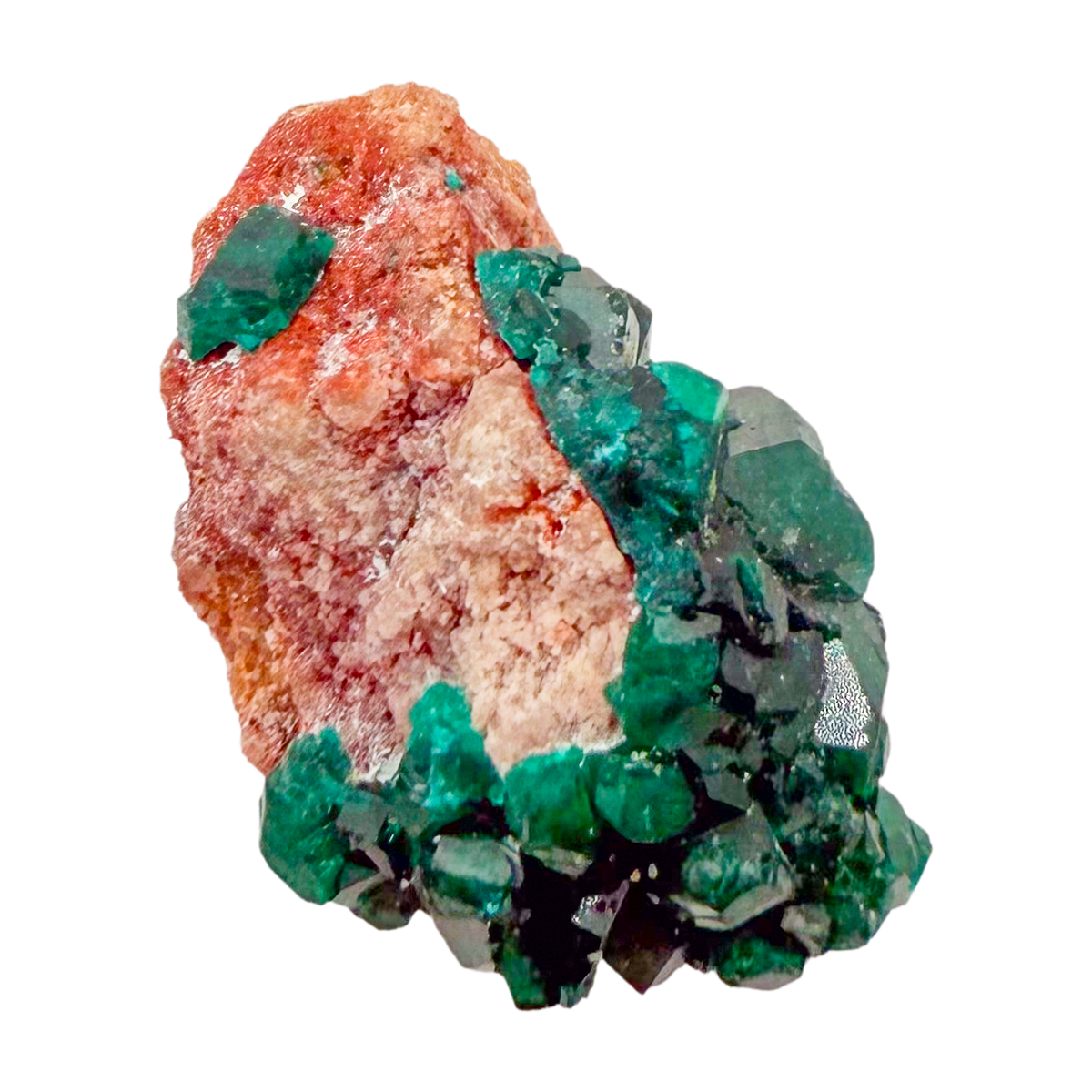 Raw dioptase crystal specimen from the Republic of the Congo, deep emerald-green druzy on matrix, specimen 17, view 5