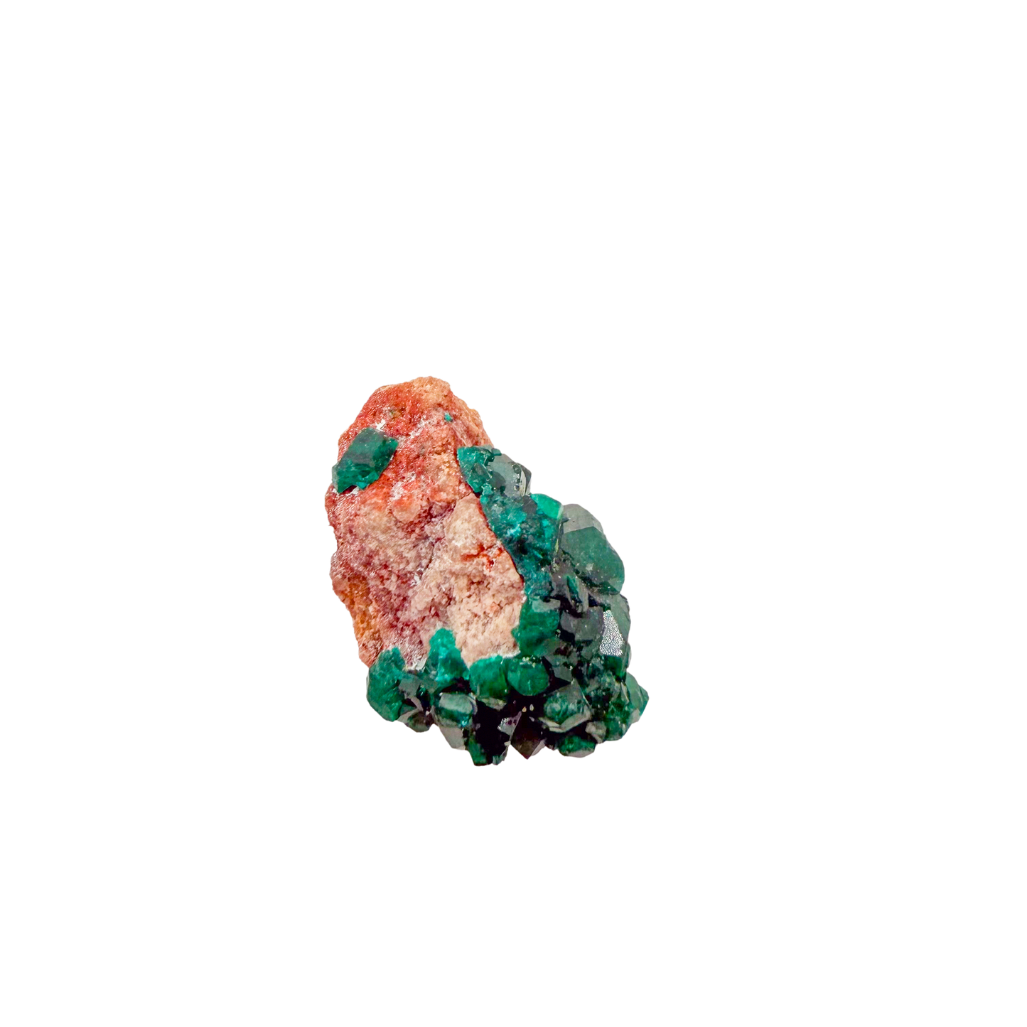 Raw dioptase crystal specimen from the Republic of the Congo, deep emerald-green druzy on matrix, specimen 17, view 5