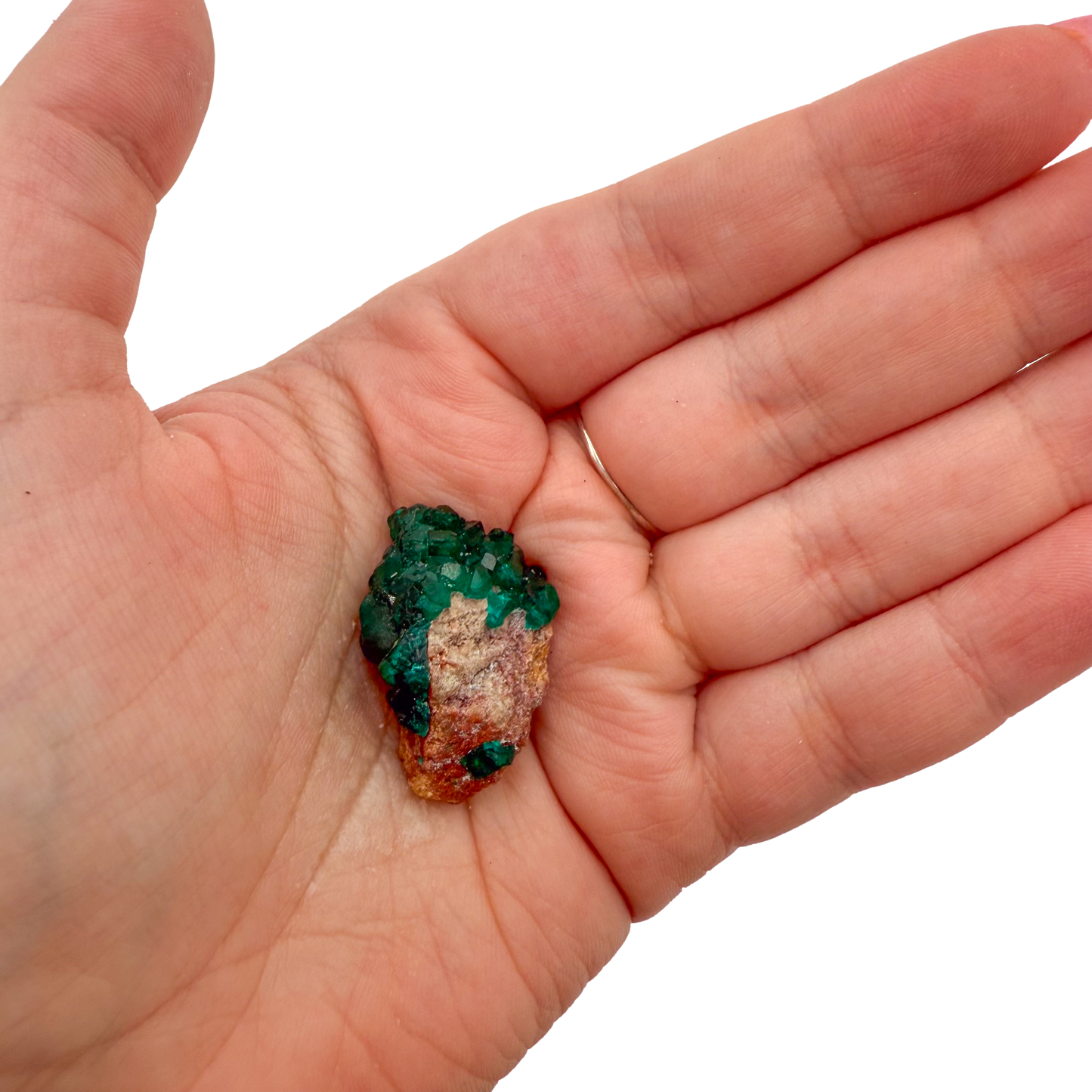 Dioptase crystal specimen from the Republic of the Congo held in hand for scale, deep emerald-green druzy, specimen 17