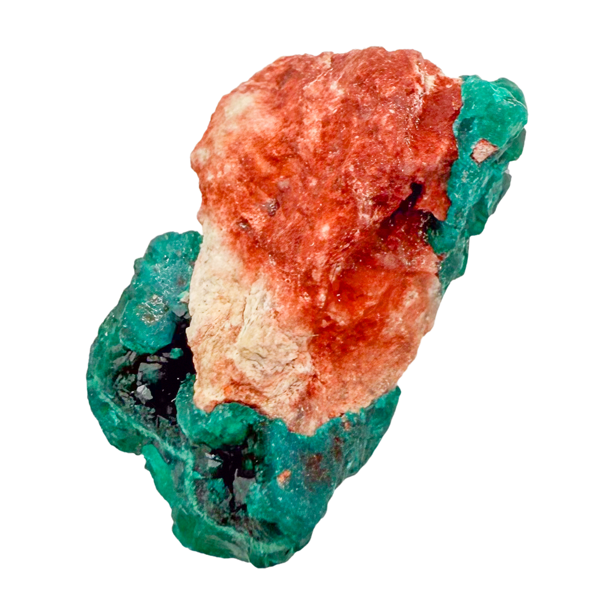 Raw dioptase crystal specimen from the Republic of the Congo, deep emerald-green druzy on matrix, specimen 19, view 5