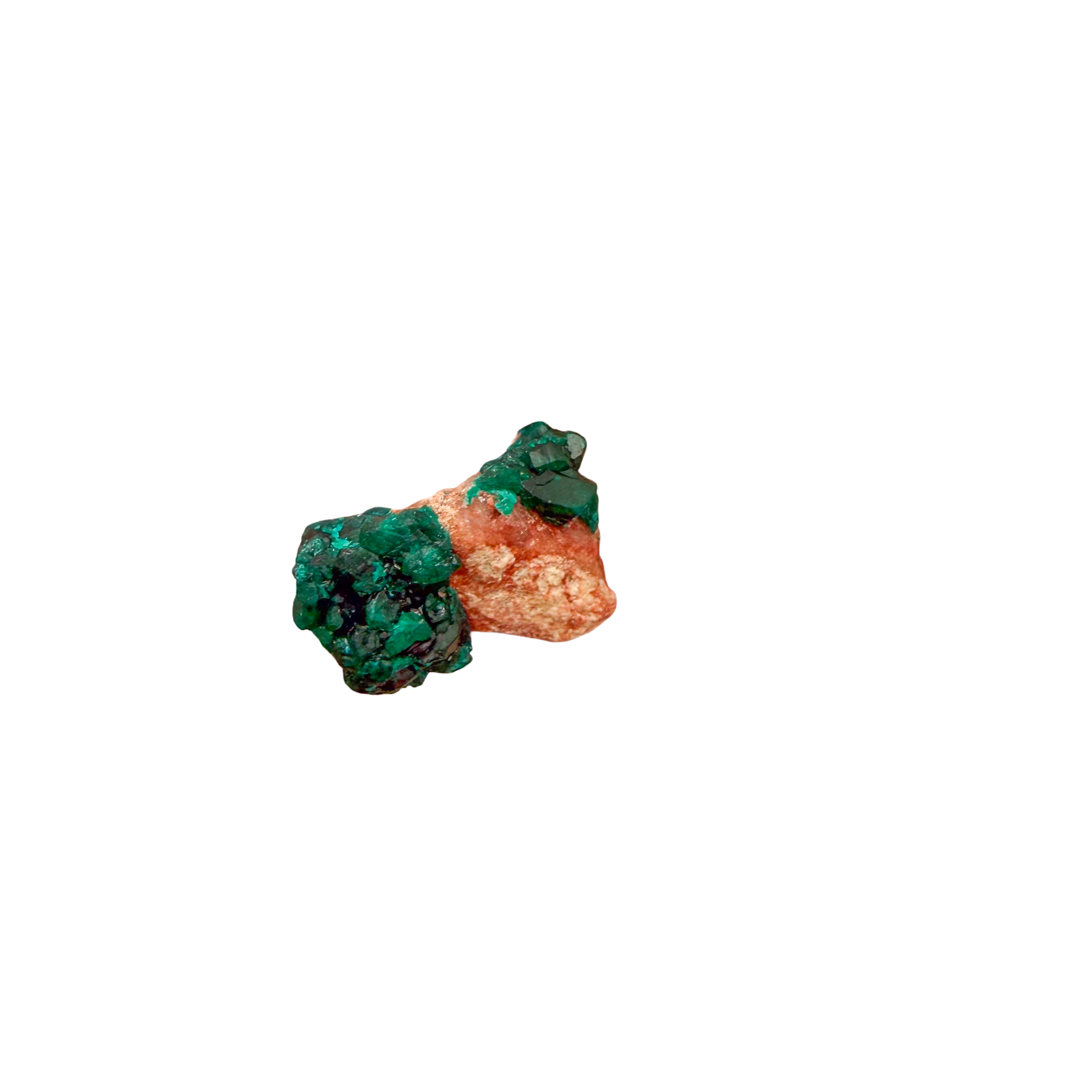 Dioptase crystal specimen from the Republic of the Congo held in hand for scale, deep emerald-green druzy, specimen 19
