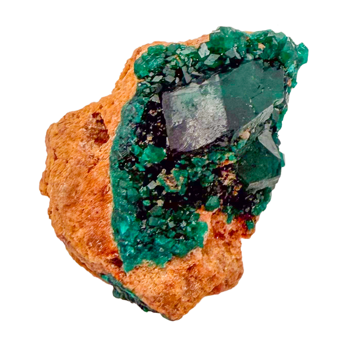 Raw dioptase crystal specimen from the Republic of the Congo, deep emerald-green druzy on matrix, specimen 20, view 2