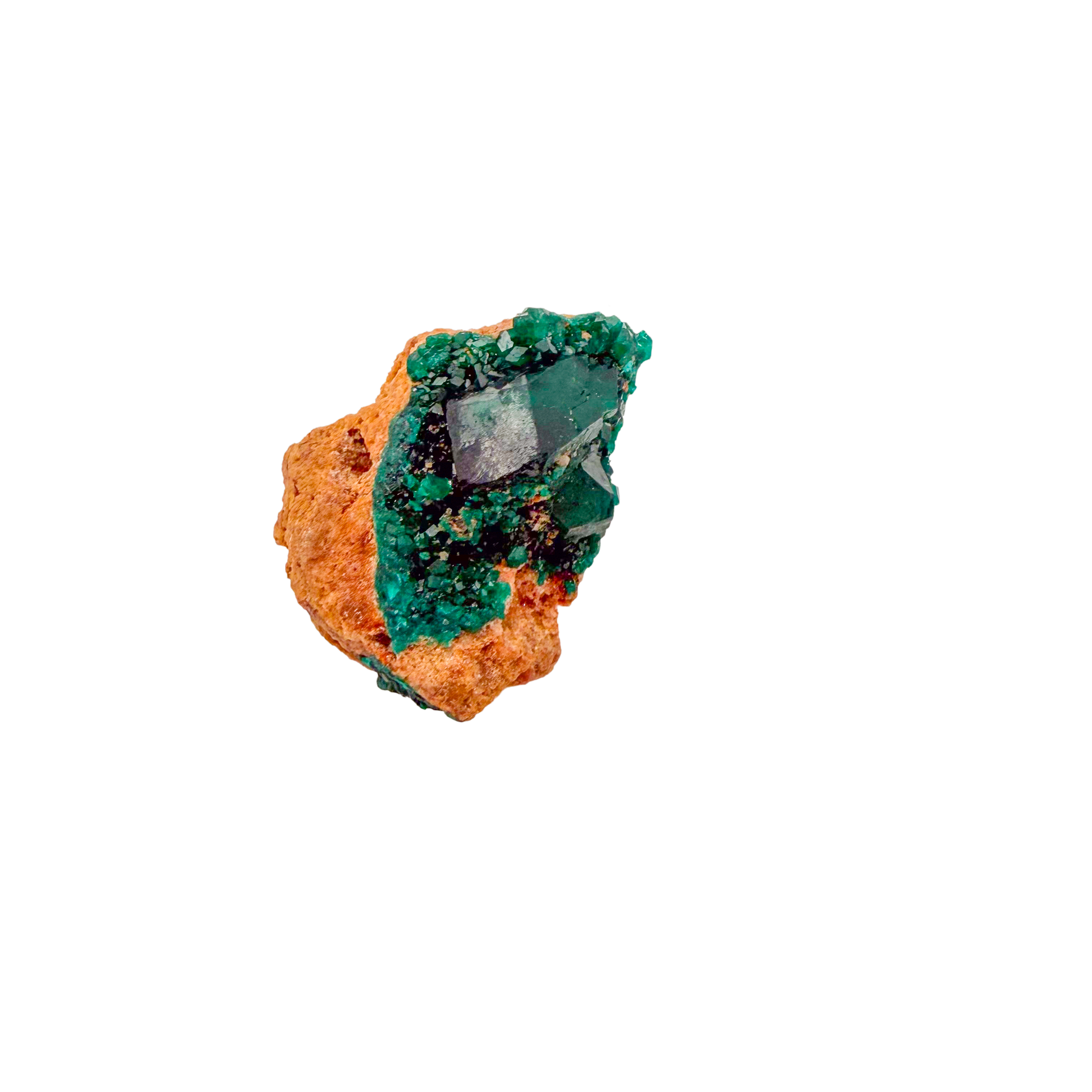 Raw dioptase crystal specimen from the Republic of the Congo, deep emerald-green druzy on matrix, specimen 20, view 2