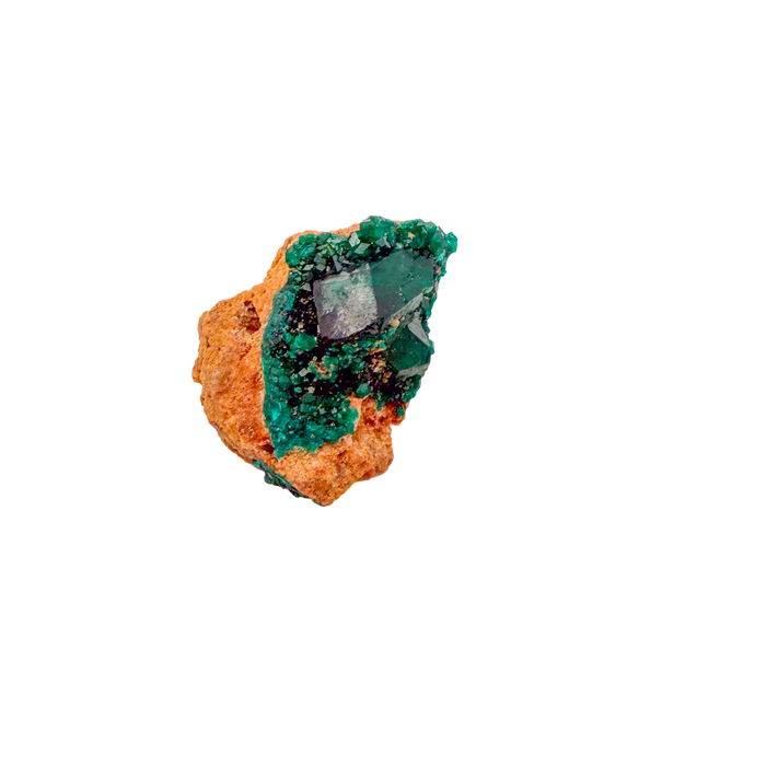 Raw dioptase crystal specimen from the Republic of the Congo, deep emerald-green druzy on matrix, specimen 20, view 2