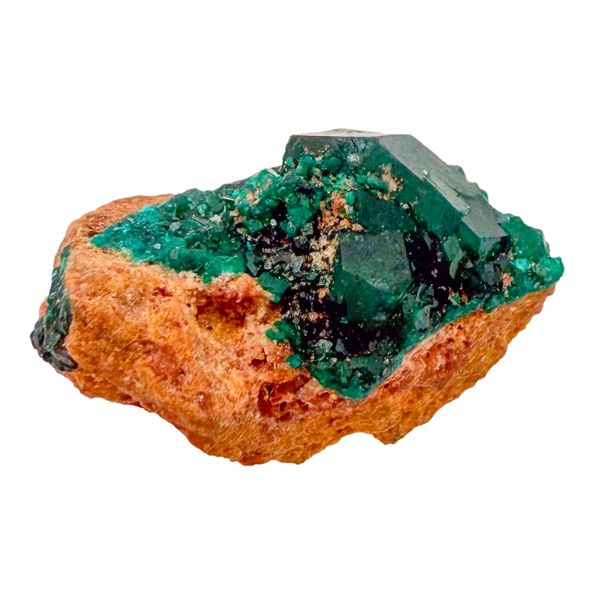 Raw dioptase crystal specimen from the Republic of the Congo, deep emerald-green druzy on matrix, specimen 20, view 3