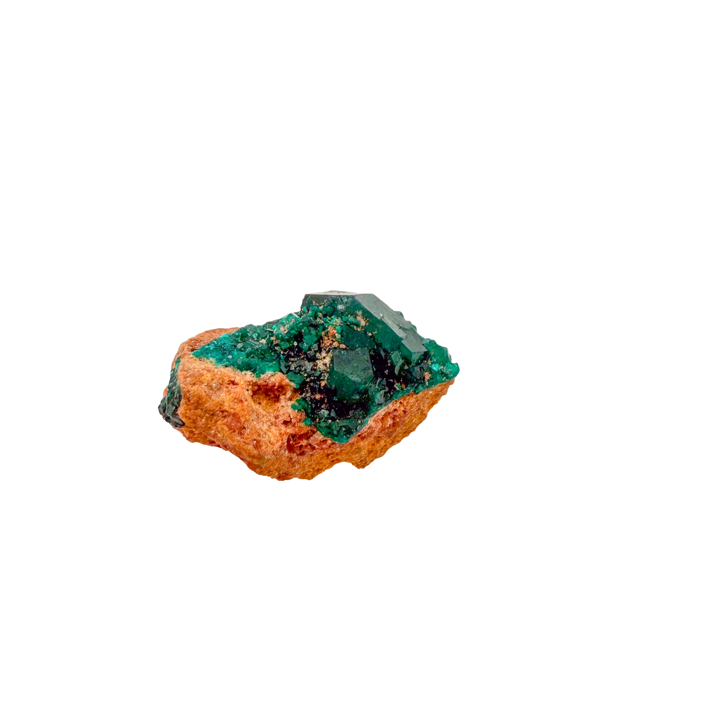 Raw dioptase crystal specimen from the Republic of the Congo, deep emerald-green druzy on matrix, specimen 20, view 3