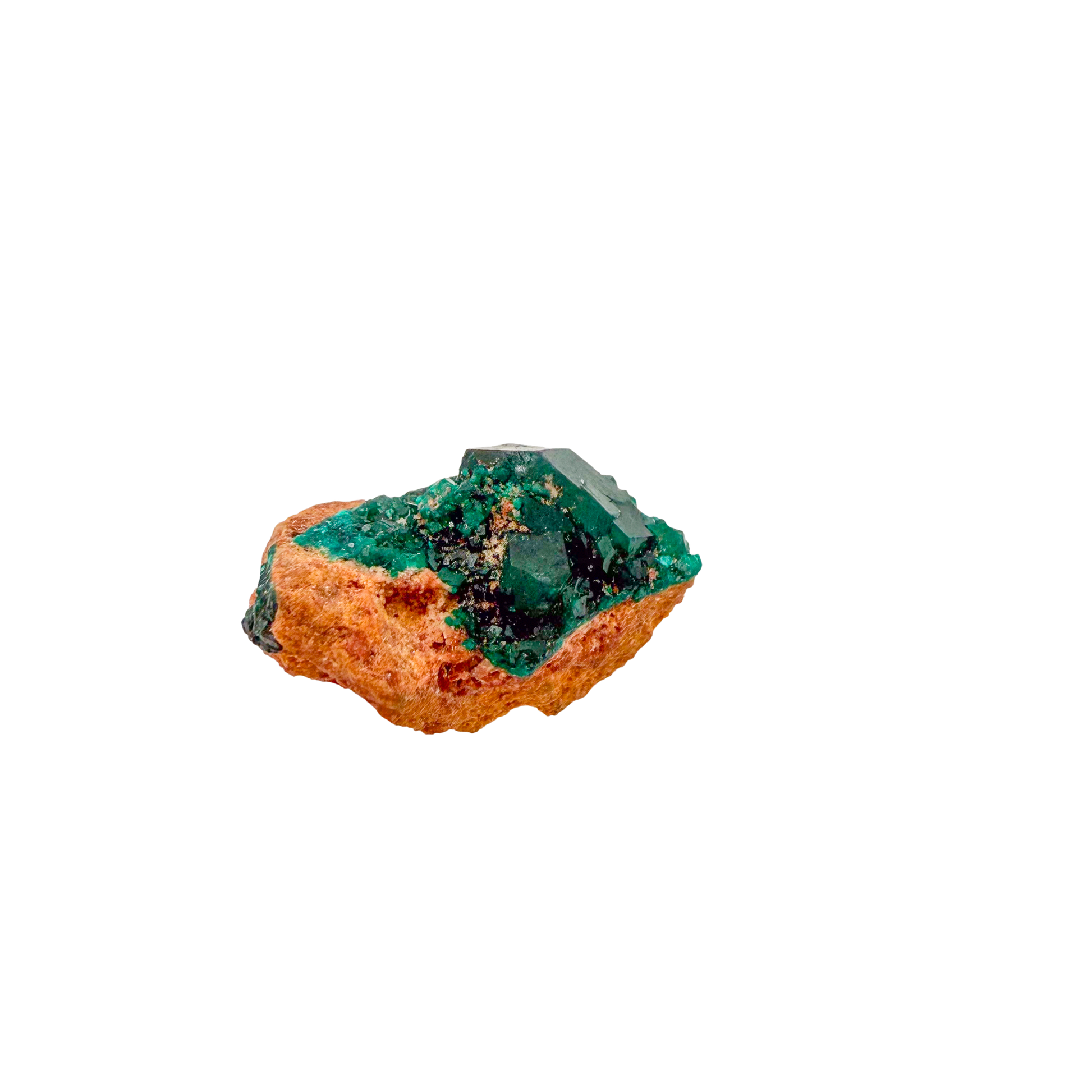 Raw dioptase crystal specimen from the Republic of the Congo, deep emerald-green druzy on matrix, specimen 20, view 3