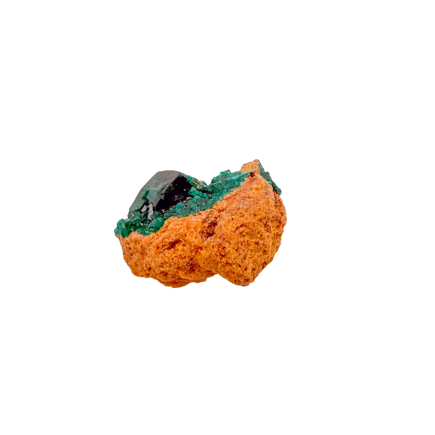 Raw dioptase crystal specimen from the Republic of the Congo, deep emerald-green druzy on matrix, specimen 20, view 4