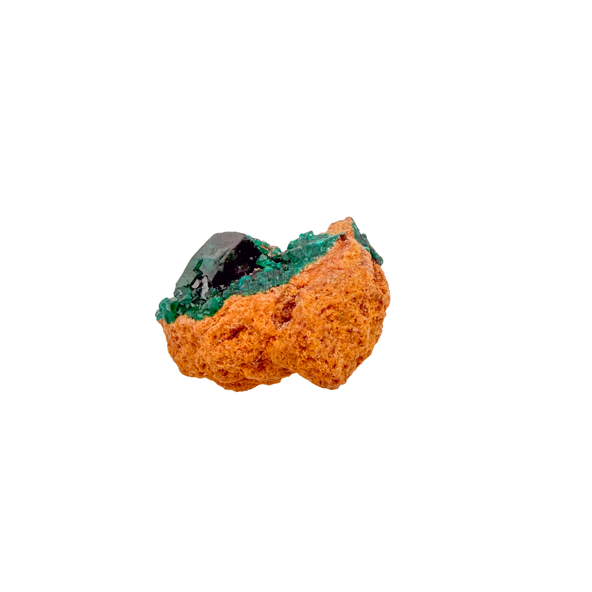Raw dioptase crystal specimen from the Republic of the Congo, deep emerald-green druzy on matrix, specimen 20, view 4