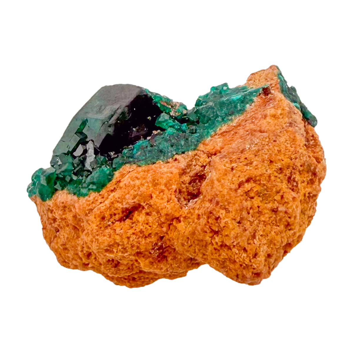 Raw dioptase crystal specimen from the Republic of the Congo, deep emerald-green druzy on matrix, specimen 20, view 4