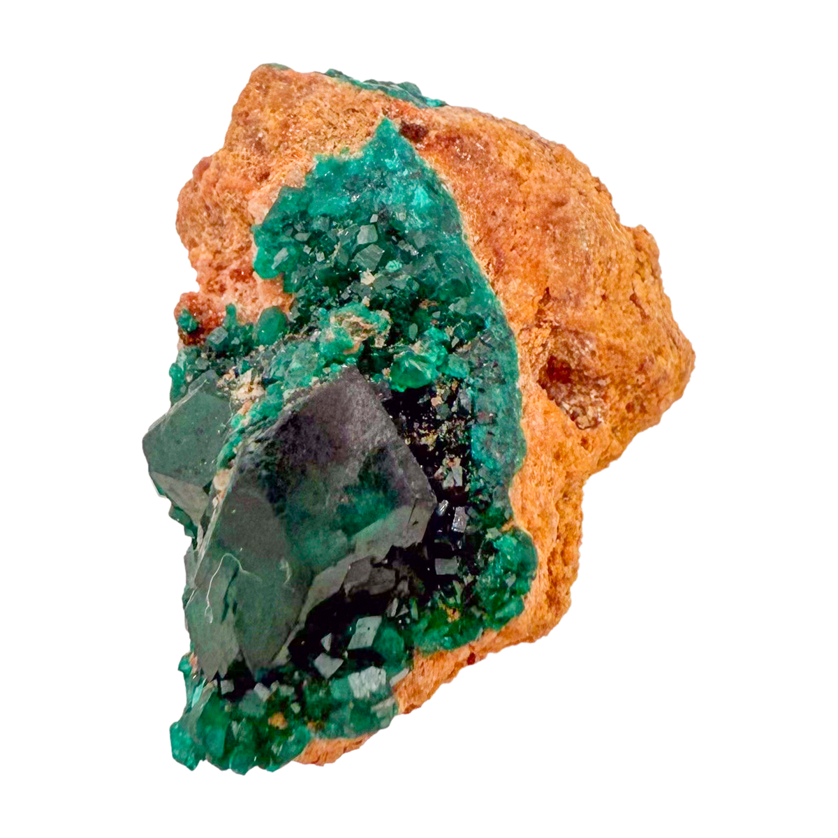Raw dioptase crystal specimen from the Republic of the Congo, deep emerald-green druzy on matrix, specimen 20, view 5