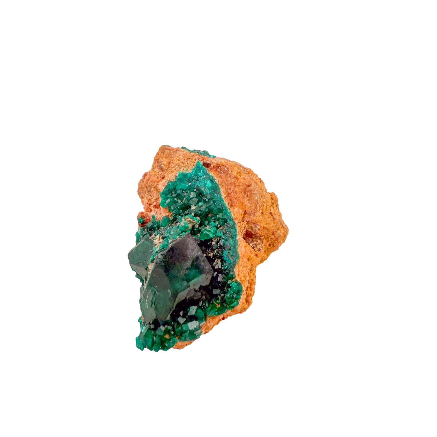 Raw dioptase crystal specimen from the Republic of the Congo, deep emerald-green druzy on matrix, specimen 20, view 5