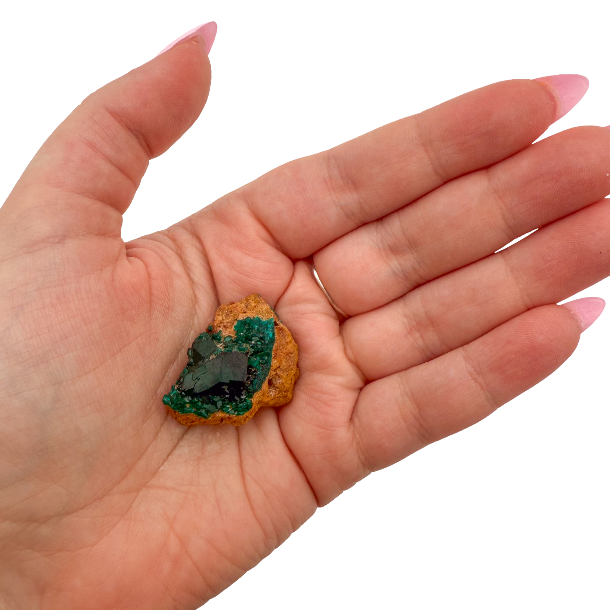 Dioptase crystal specimen from the Republic of the Congo held in hand for scale, deep emerald-green druzy, specimen 20