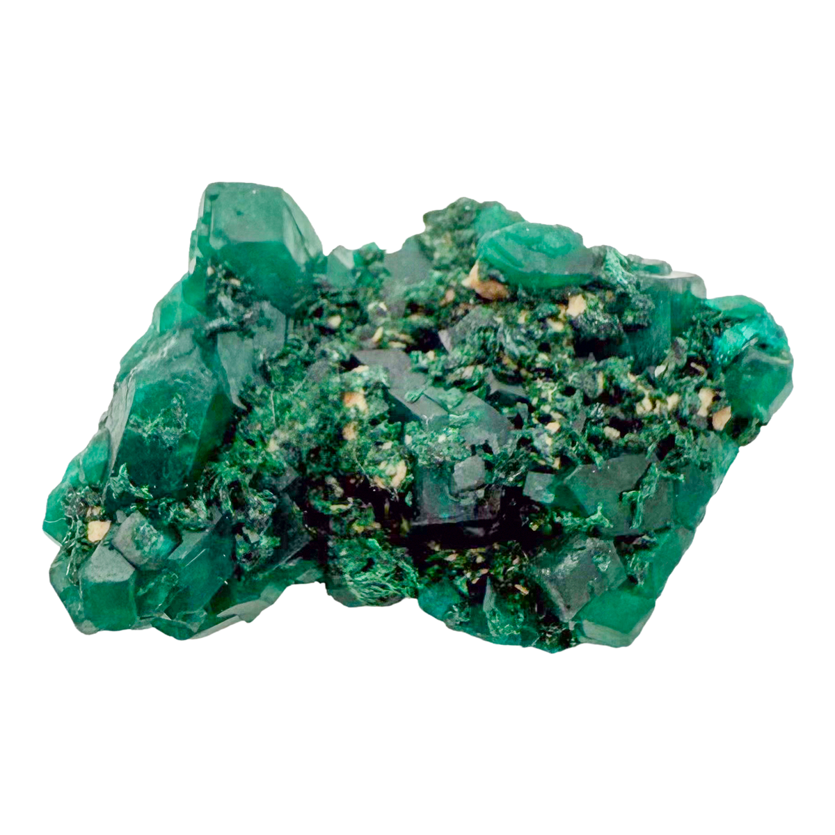 Raw dioptase crystal specimen from the Republic of the Congo, deep emerald-green druzy on matrix, specimen 4, view 2