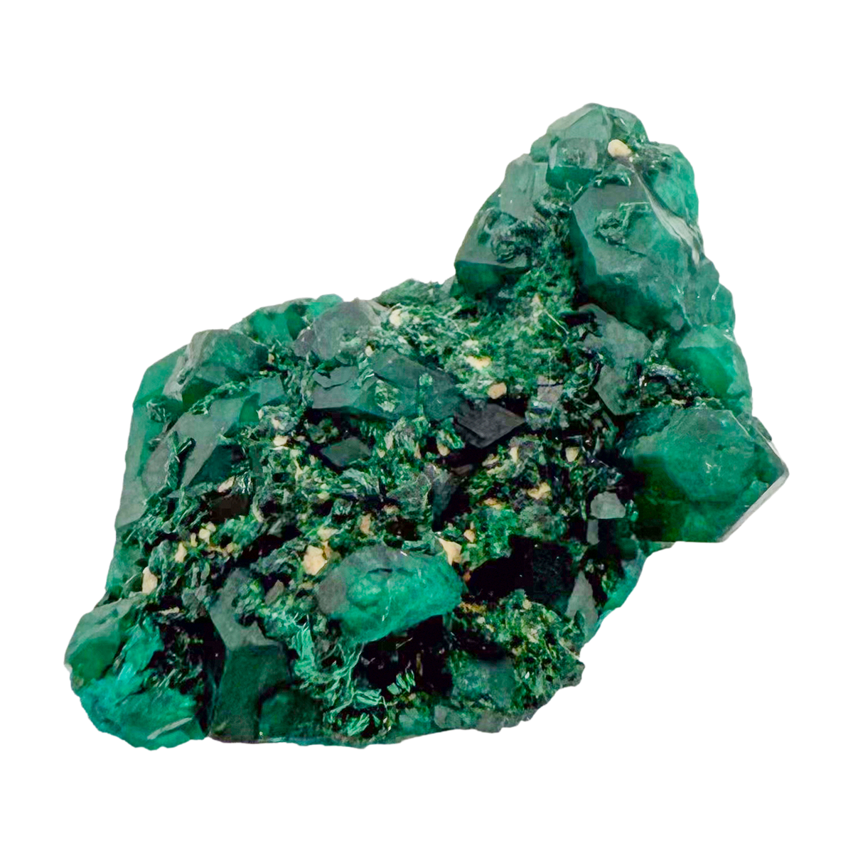 Raw dioptase crystal specimen from the Republic of the Congo, deep emerald-green druzy on matrix, specimen 4, view 3