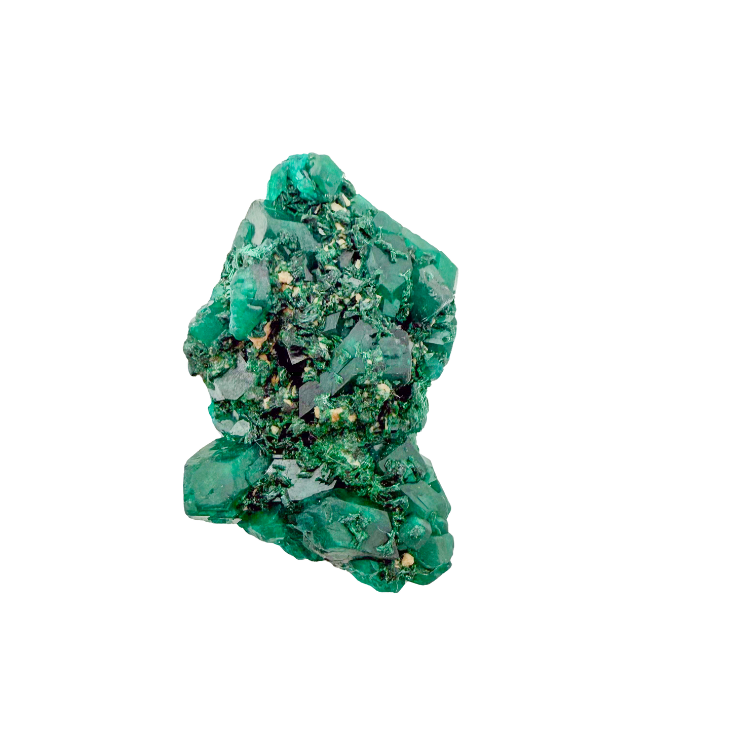 Raw dioptase crystal specimen from the Republic of the Congo, deep emerald-green druzy on matrix, specimen 4, view 5