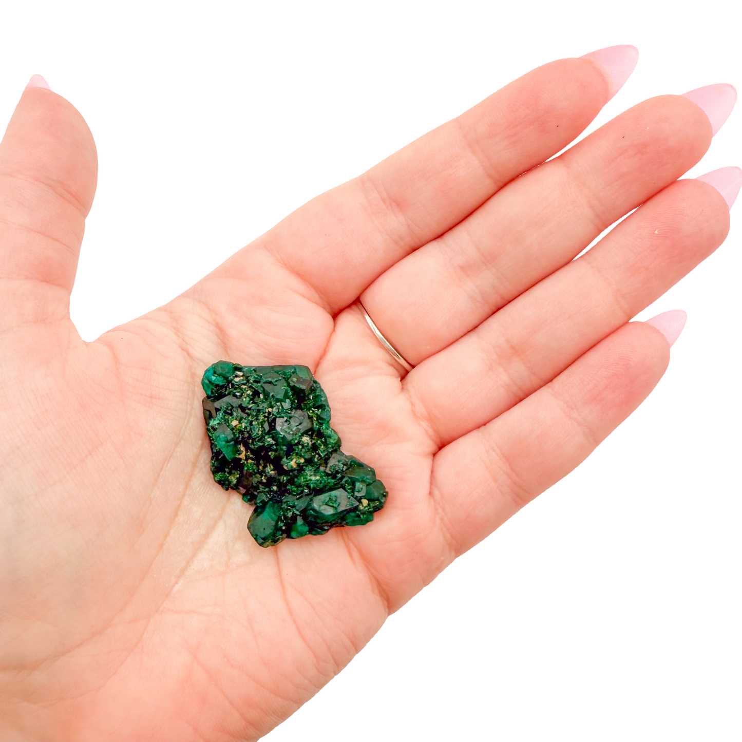 Dioptase crystal specimen from the Republic of the Congo held in hand for scale, deep emerald-green druzy, specimen 4