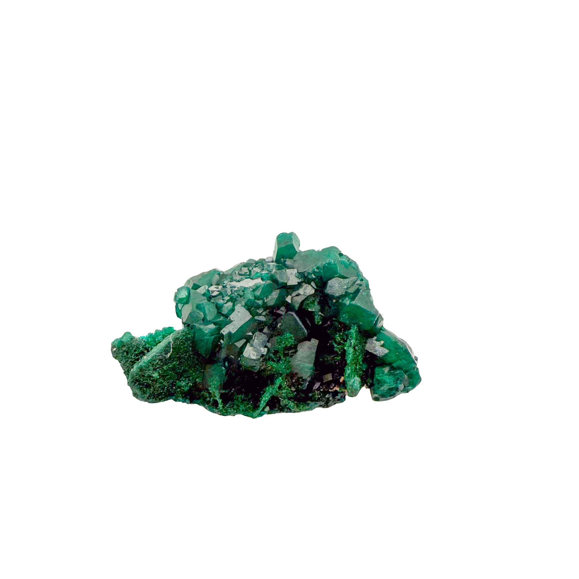 Raw dioptase crystal specimen from the Republic of the Congo, deep emerald-green druzy on matrix, specimen 5, view 1