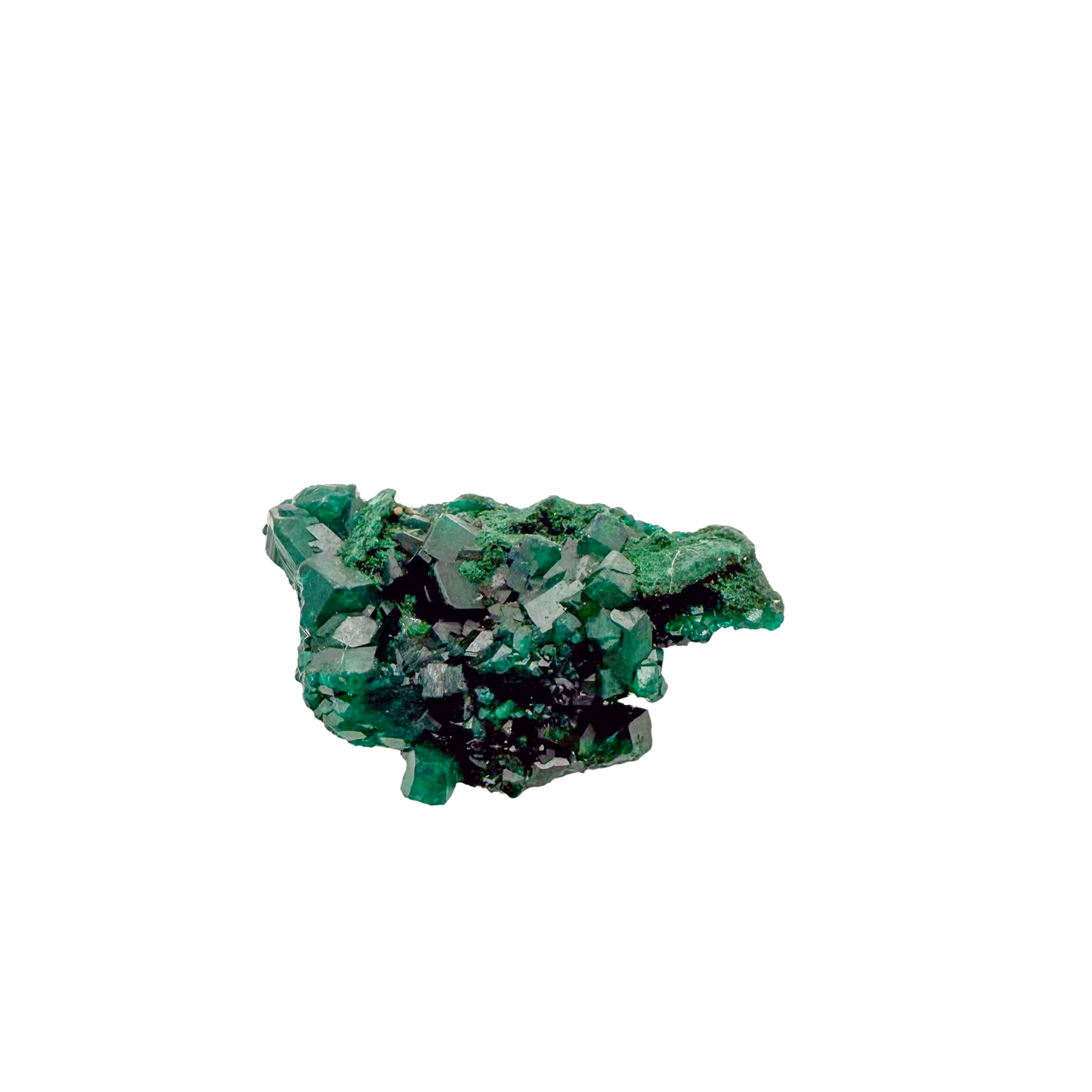 Raw dioptase crystal specimen from the Republic of the Congo, deep emerald-green druzy on matrix, specimen 5, view 3