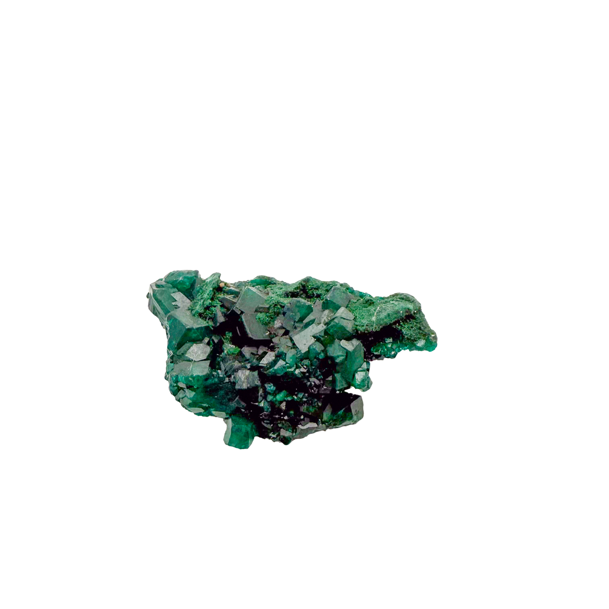 Raw dioptase crystal specimen from the Republic of the Congo, deep emerald-green druzy on matrix, specimen 5, view 3