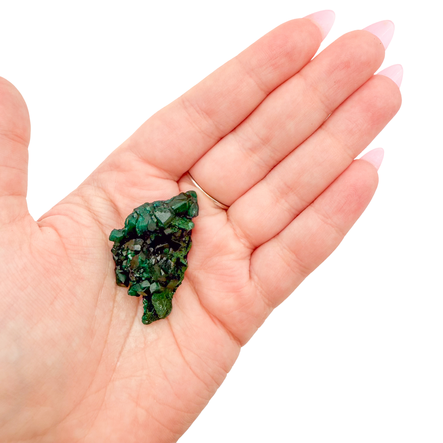 Dioptase crystal specimen from the Republic of the Congo held in hand for scale, deep emerald-green druzy, specimen 5