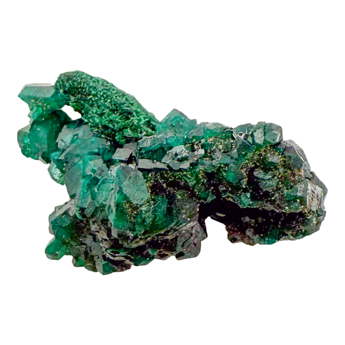 Raw dioptase crystal specimen from the Republic of the Congo, deep emerald-green druzy on matrix, specimen 7, view 1
